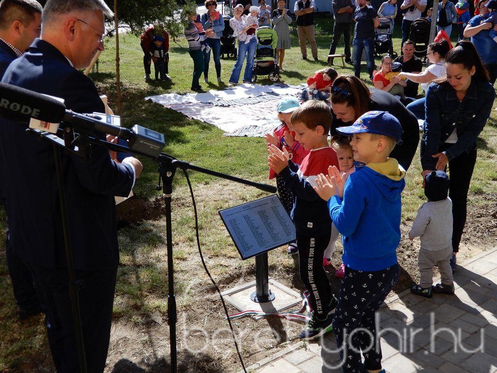 Életfa ültetés a város napján 28